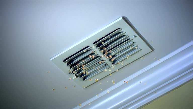 Home Air Vent Cleaning in IA