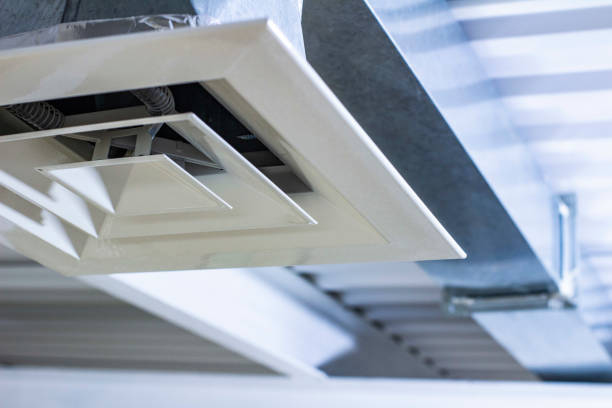 Best Residential Air Duct Cleaning  in Ida Grove, IA
